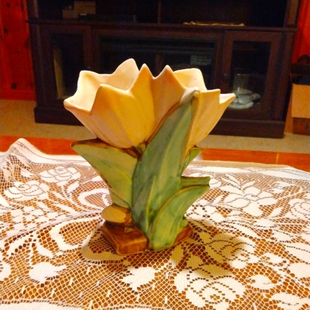 McCoy Tulips